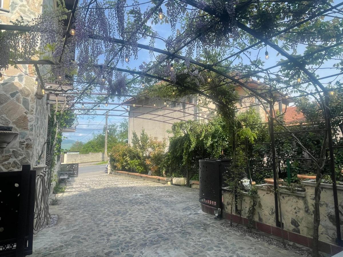 Willa Luxury House Teodora Deva Zewnętrze zdjęcie